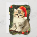 Search for kitten christmas cards White cat