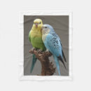 Search for budgie blankets Birds