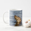 Search for american alligator mugs Crocodile
