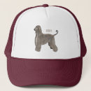 Search for hounds hats Dog