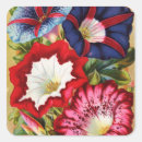 Search for morning glory stickers Nature