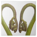 Search for heart shaped tiles Nobody