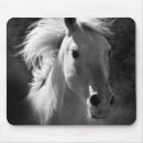 Search for black horse electronics Animals