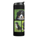 Search for photo collage travel mugs Photos