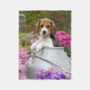 Search for beagle blankets Animal