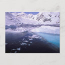 Search for expedition postcards Antarctica