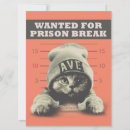 Search for prisoner cards Kitty