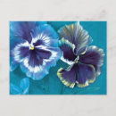 Search for pansy flower postcards Blue