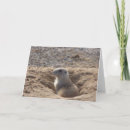 Search for prairie dog cards Animal