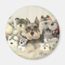 Search for miniature magnets Terrier