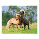 Search for horse art Ponies