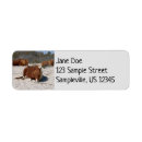Search for pony return address labels Nature