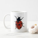 Search for lady beetles mugs Coccinellidae