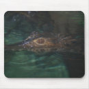 Search for croc mousepads Animal