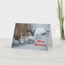 Search for swans christmas cards Snow