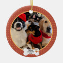 Search for naughty dog christmas tree decorations Pet photo