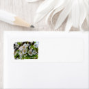 Search for apple blossoms return address labels White flowers