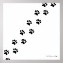 Search for black and white bear posters Paw