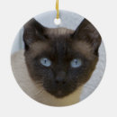 Search for oriental christmas tree decorations Beige