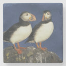 Search for puffin coasters Couple