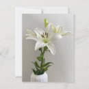 Search for white lily postcards Lilies