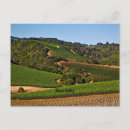 Search for napa valley postcards Landscape