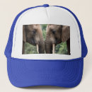 Search for embrace hats Affection