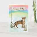 Search for abyssinian cards Cat