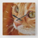 Search for orange tabby cat clocks Feline