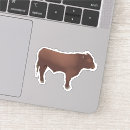 Search for beef cuts stickers Bull