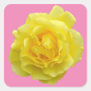 Search for beautiful yellow rose stickers Flower