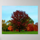 Search for oak tree posters Foliage