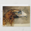 Search for eagle feather postcards Bird of prey