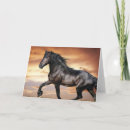 Search for black horse cards Horses