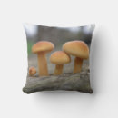 Search for toadstool cushions Fungi