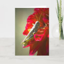 Search for grasshopper cards Flower