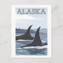 Search for vintage whale posters States
