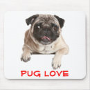 Search for dog with stick electronics Pug
