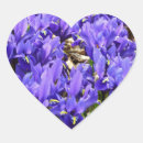 Search for blue iris stickers Nature