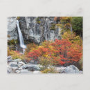 Search for patagonia postcards Nature