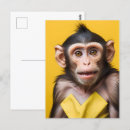 Search for monkey business postcards Animal