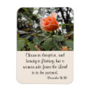 Search for virtues magnets Christian