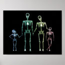 Search for wierd posters Skull