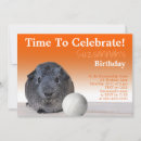 Search for volleyball party invitations Cute