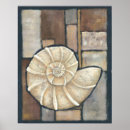 Search for shells posters Large seashell