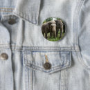 Search for asian elephant Asian elephants