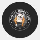 Search for yellow paws stickers Chihuahua