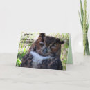 Search for owl picture cards Humour