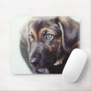 Search for one of a kind electronics Cute