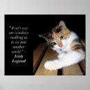 Search for calico kitten art Feline